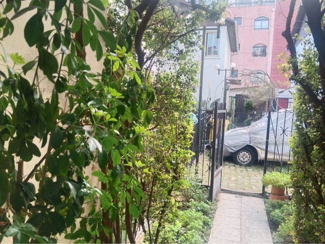 place photo 29