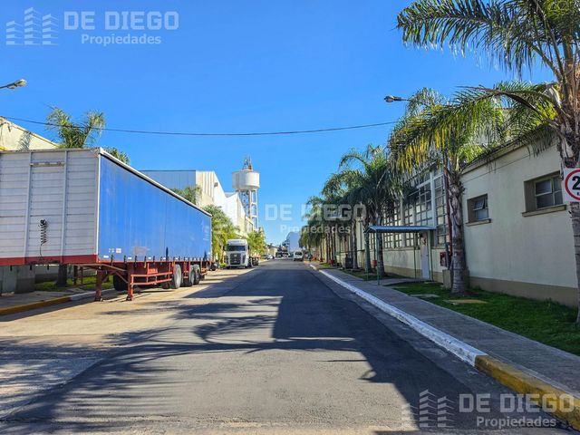 place photo 17