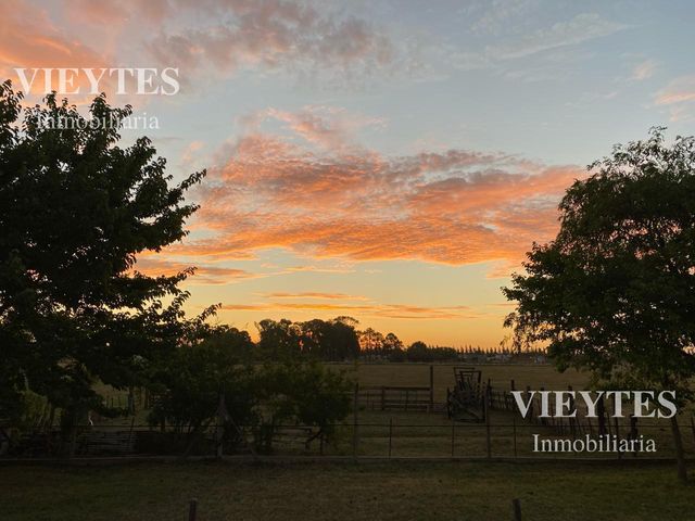 place photo 57