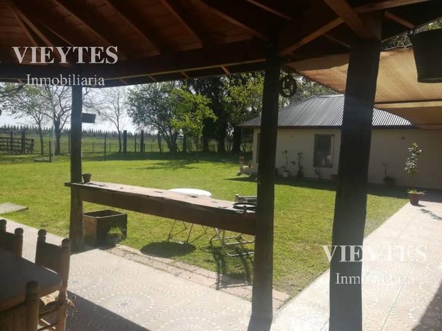 place photo 16