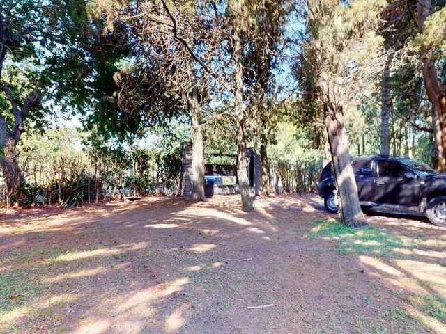 place photo 35