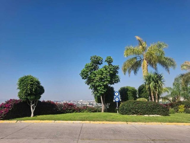 place photo 42
