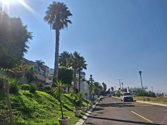 place photo 45