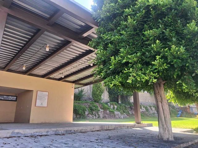 place photo 47
