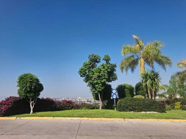 place photo 43