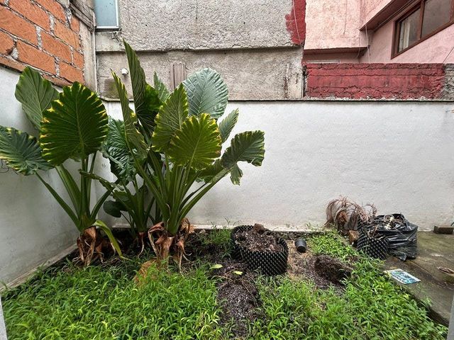 place photo 27