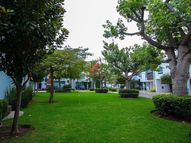 place photo 40