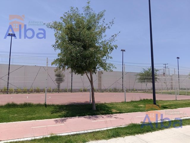place photo 21