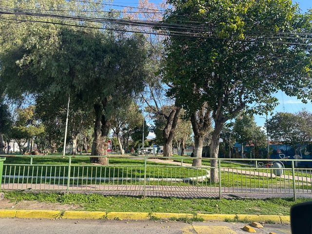 place photo 26
