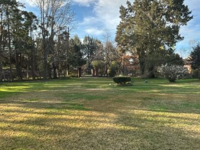 place photo 37