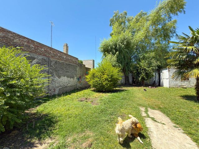 place photo 16