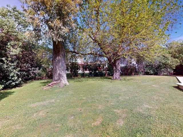 place photo 64