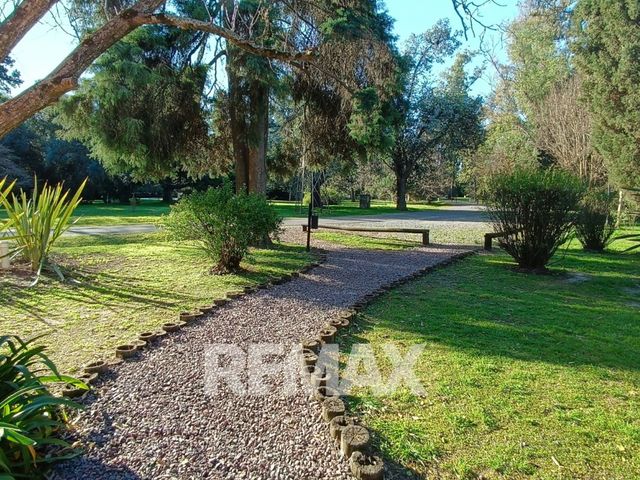 place photo 19