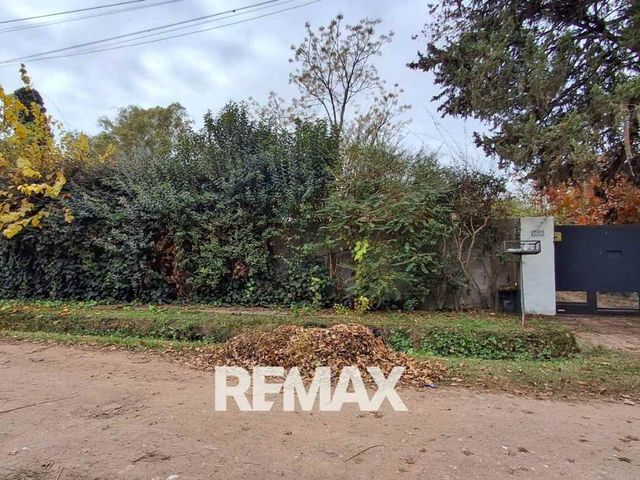 place photo 31