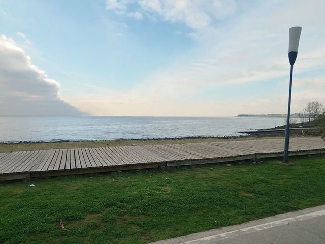 place photo 39