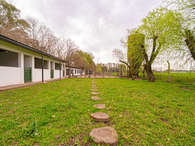 place photo 33