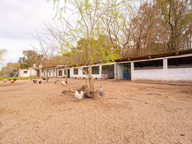 place photo 40