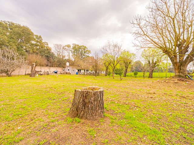 place photo 29