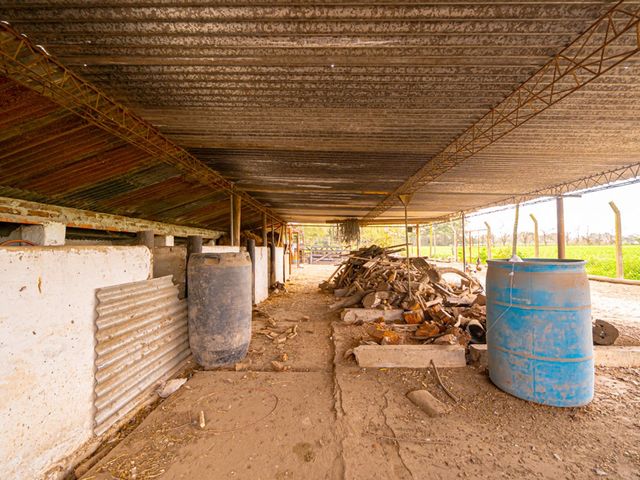 place photo 42