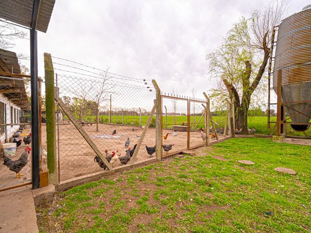 place photo 36