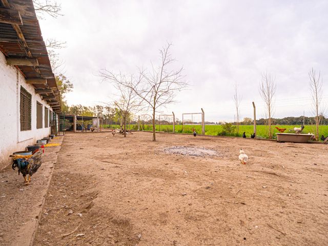 place photo 38