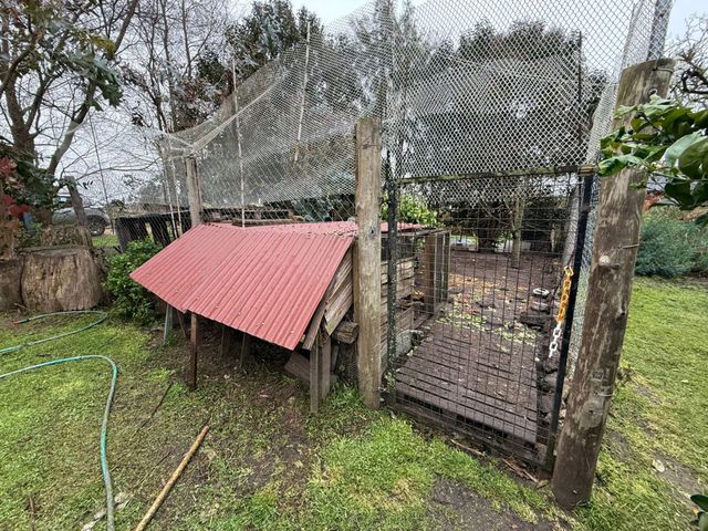 place photo 31