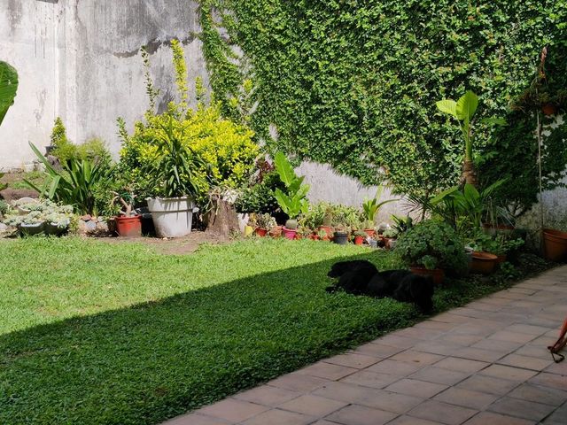 place photo 34