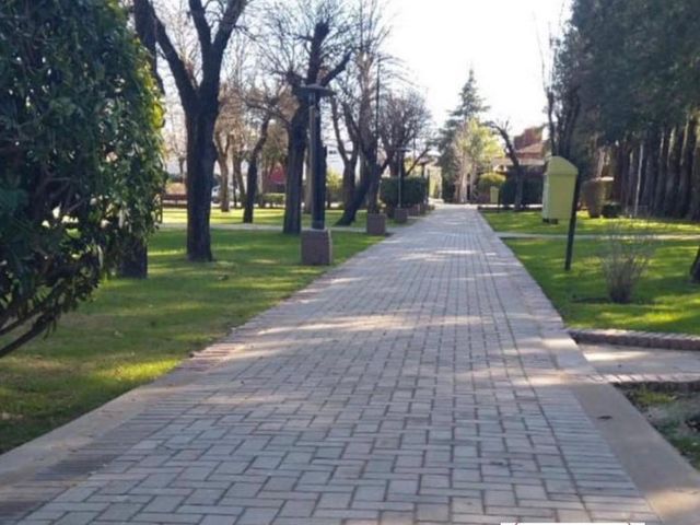 place photo 36
