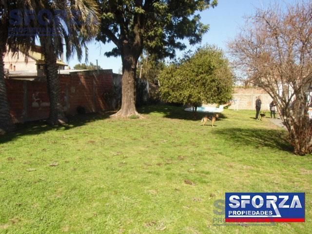 place photo 23