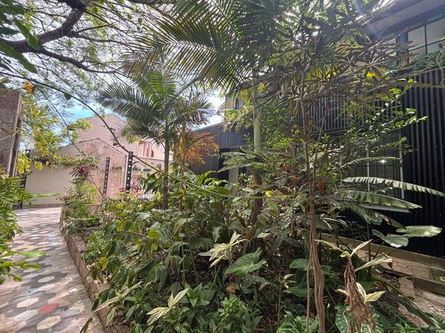 place photo 47