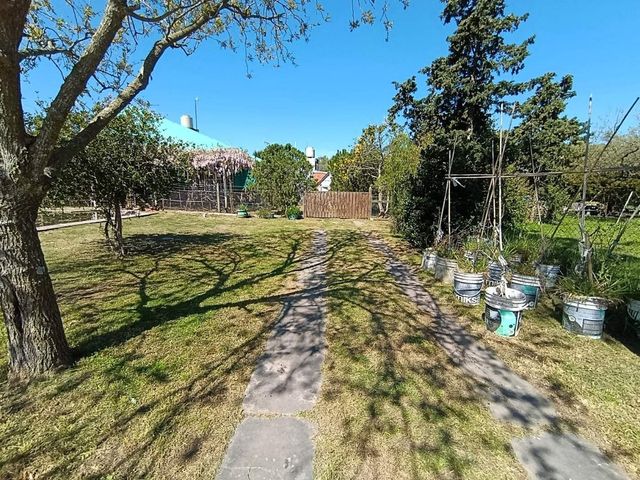 place photo 36