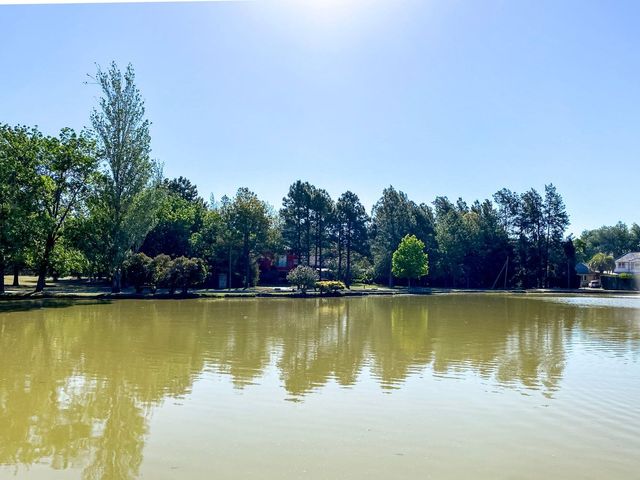 place photo 48