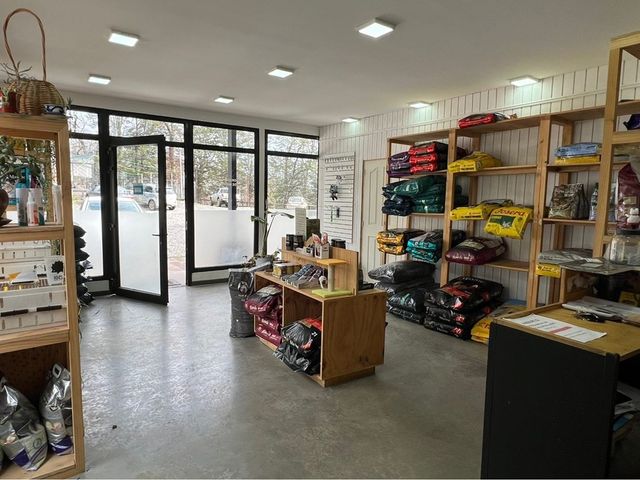 place photo 17