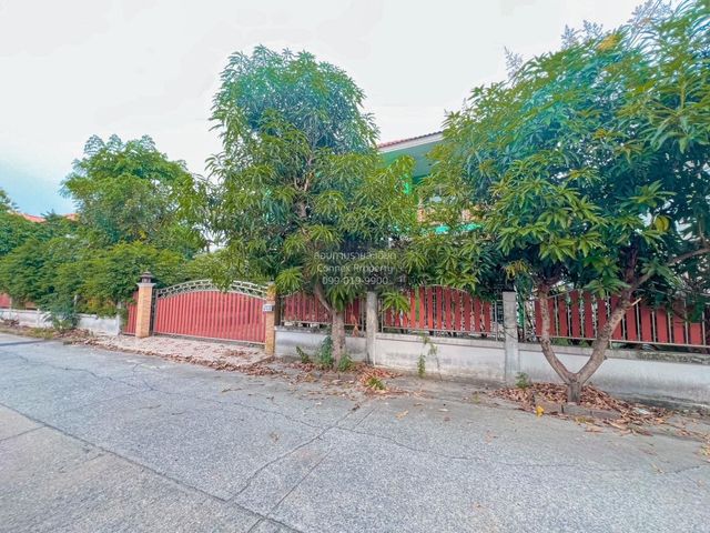 place photo 22