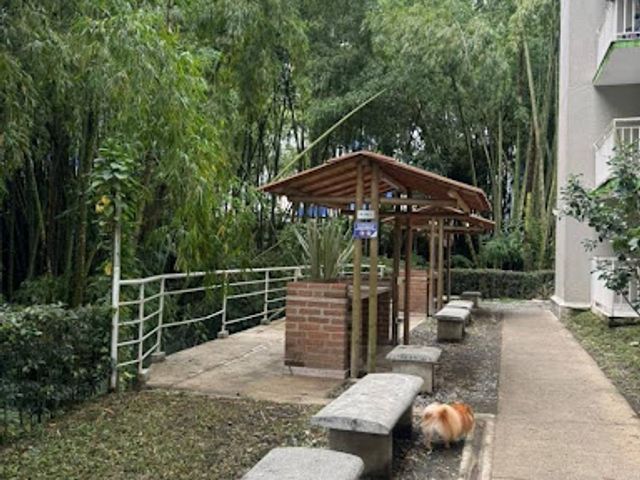 place photo 15