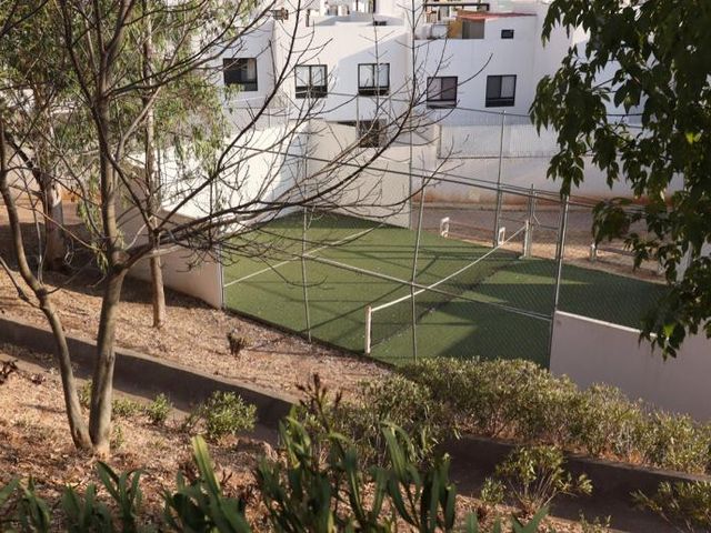 place photo 32
