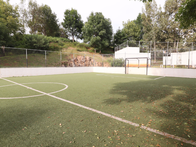 place photo 31