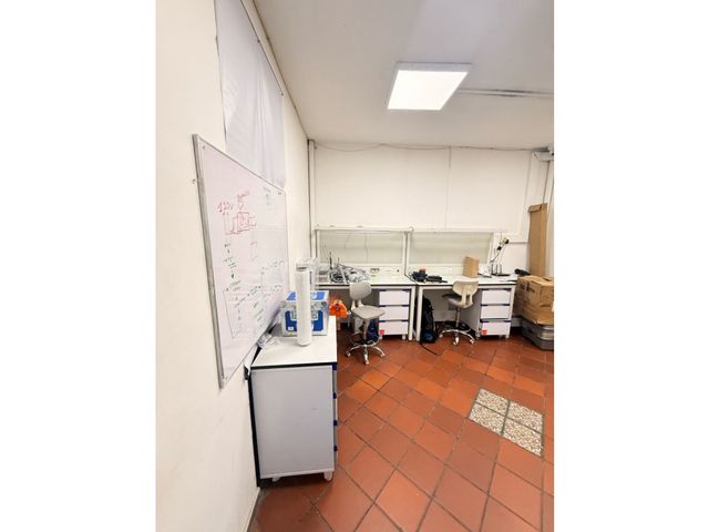 place photo 43