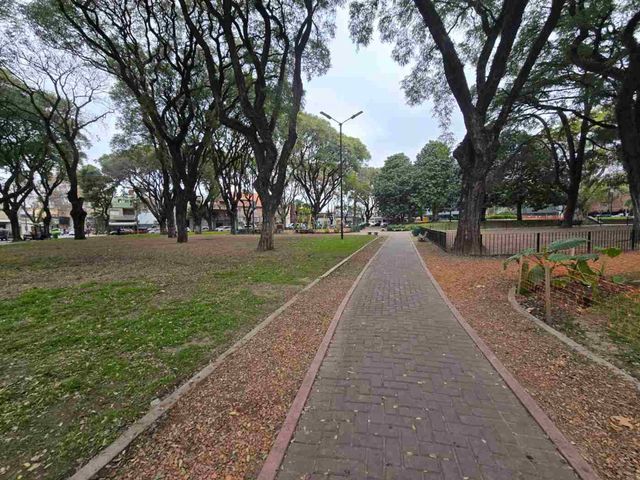 place photo 23