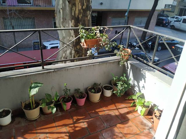 place photo 17