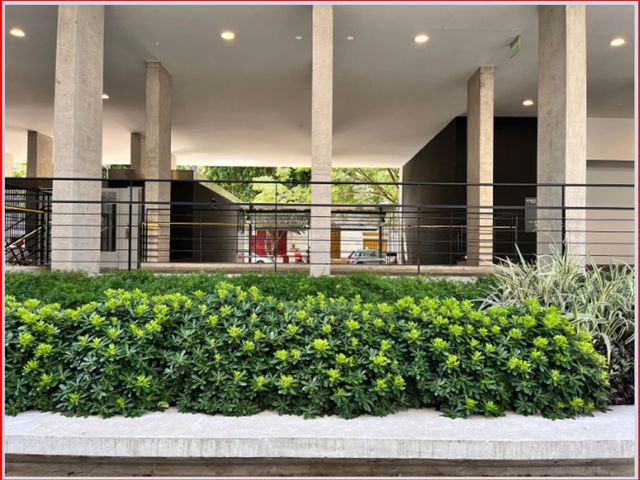 place photo 41