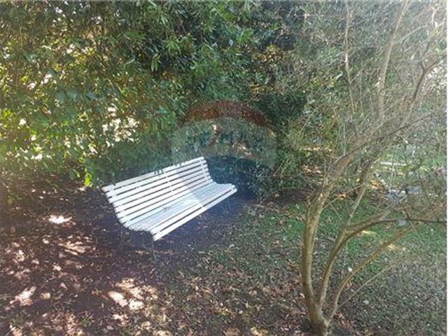 place photo 78