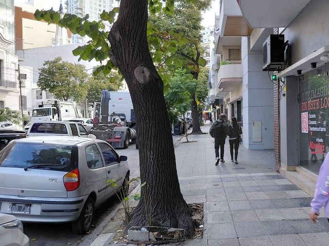 place photo 22