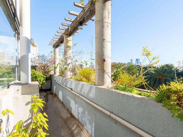 place photo 36