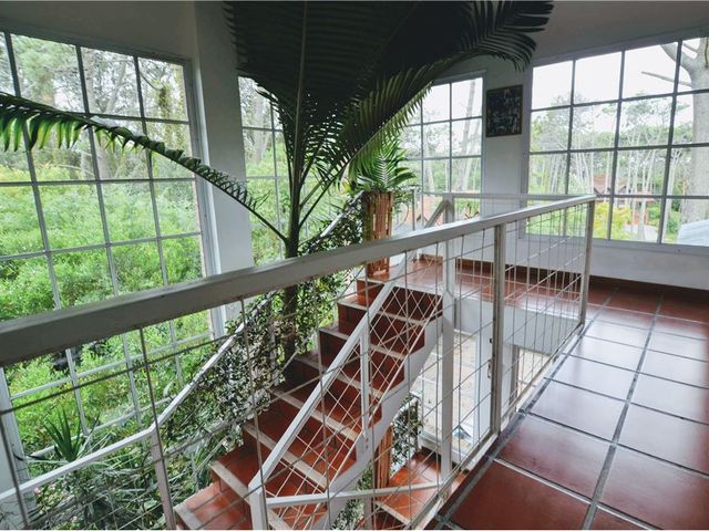 place photo 52