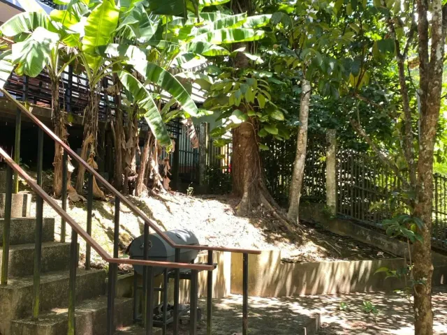place photo 19