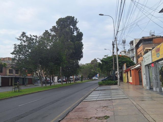 place photo 44