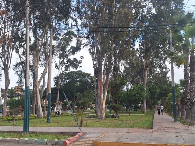 place photo 47