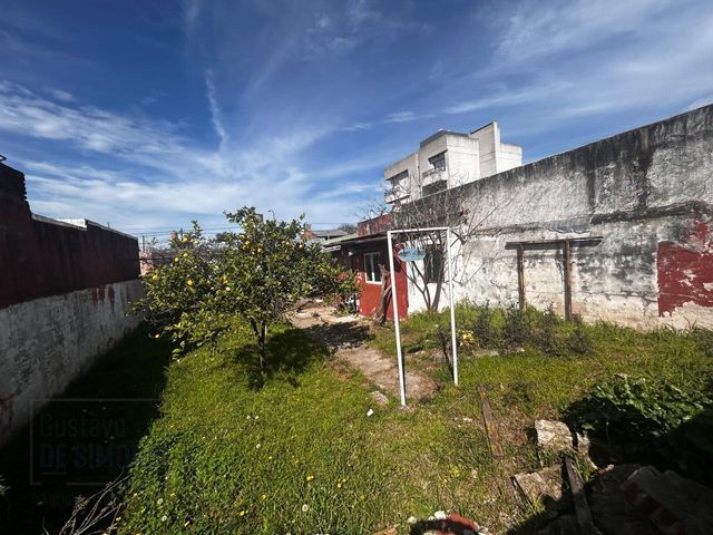 place photo 37
