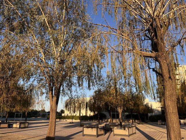 place photo 27